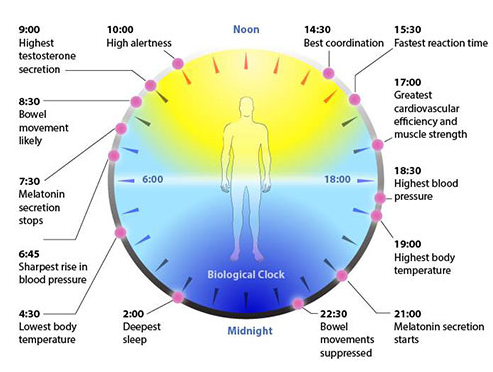 How to Use Spotlights to Visually Expand Small Spaces