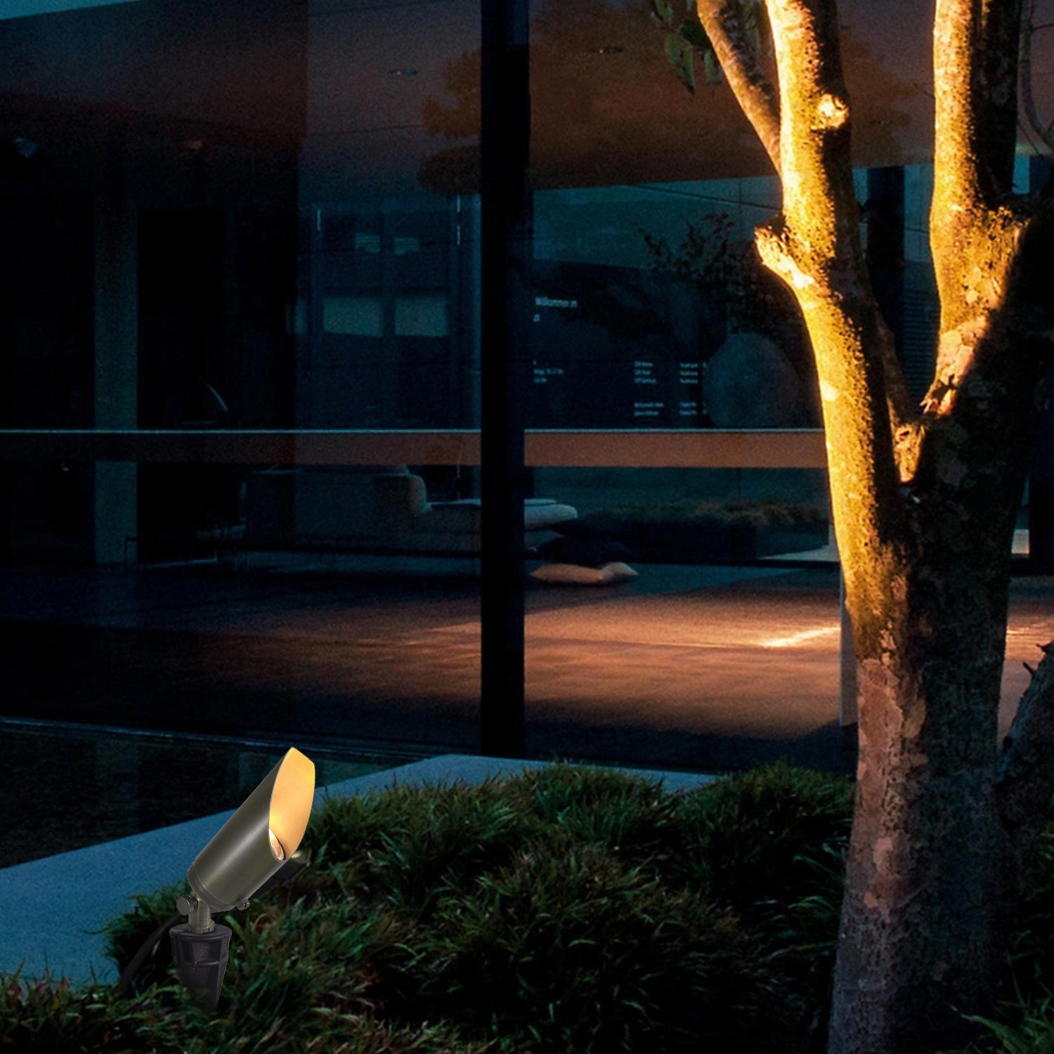 Low voltage brass LED landscape spotlight illuminating a tree at night near a modern house