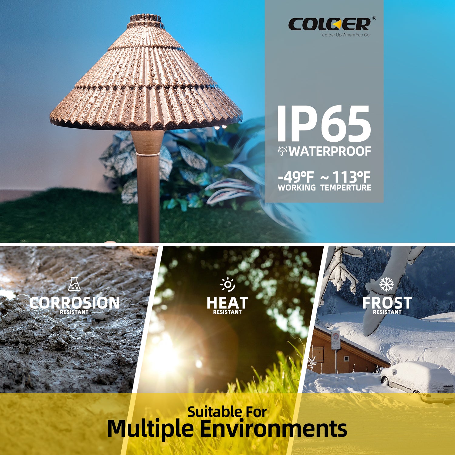 COLOER Solid Brass Path Light on lawn with IP65 waterproof rating, corrosion, heat, and frost resistance, suitable for multiple environments.