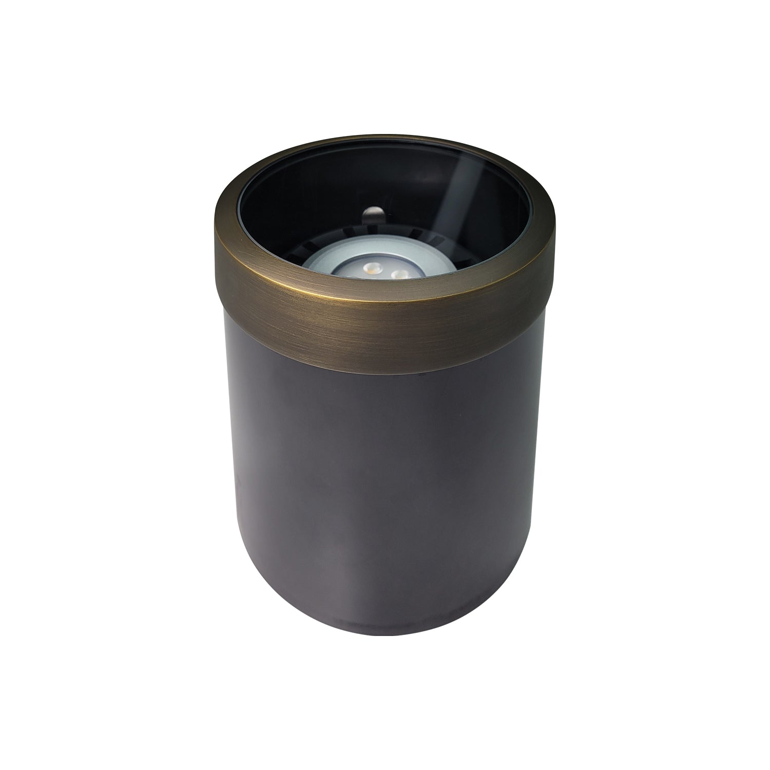 LED outdoor low voltage in-ground well light COG302B for pathway lighting.