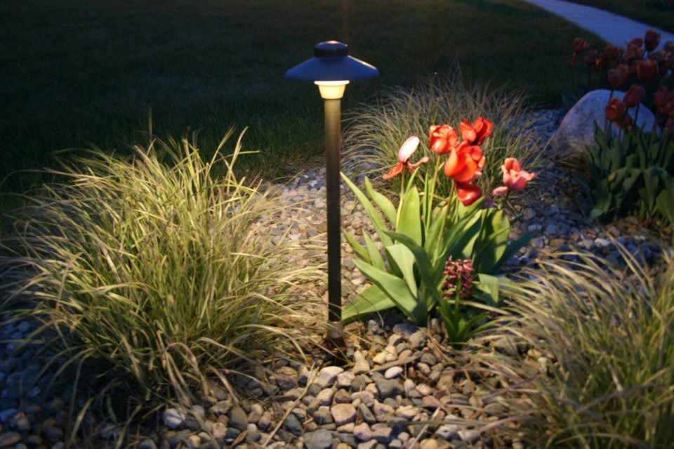 A beautifully landscaped garden at night, illuminated by energy-efficient LED landscape lights