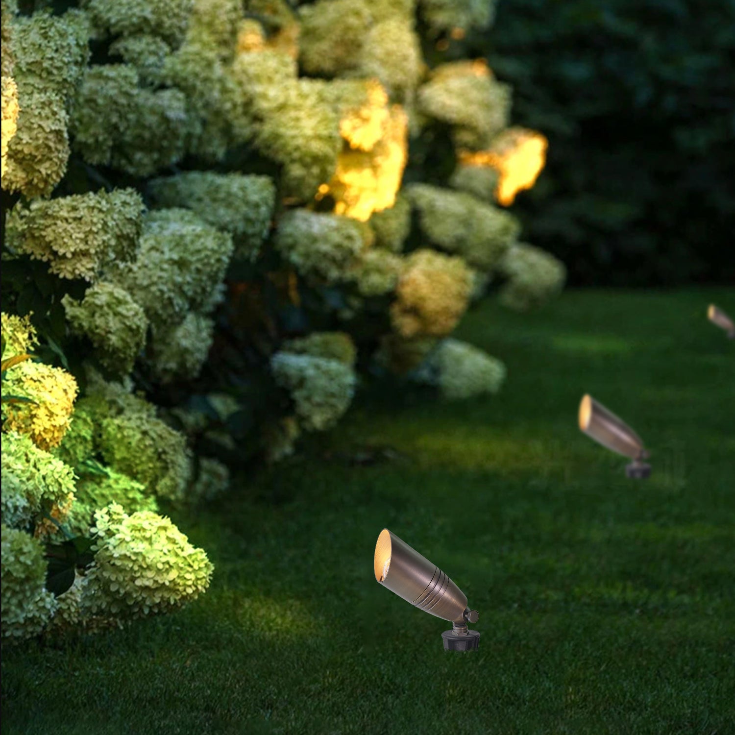 LED spotlights illuminating garden bushes at night, highlighting the landscape with a warm glow.