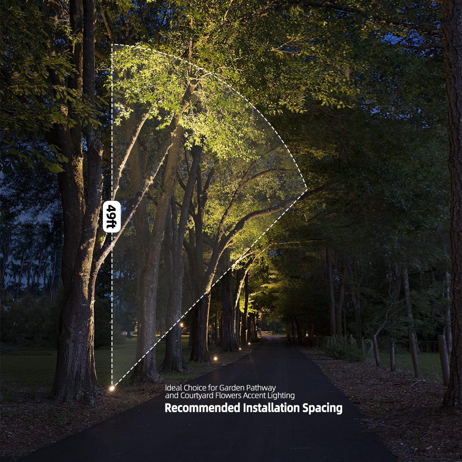 Night scene with tree-lined path illuminated by LED brass landscape spotlights, demonstrating light spread up to 40 feet, recommended for garden pathways and courtyard lighting COA101B