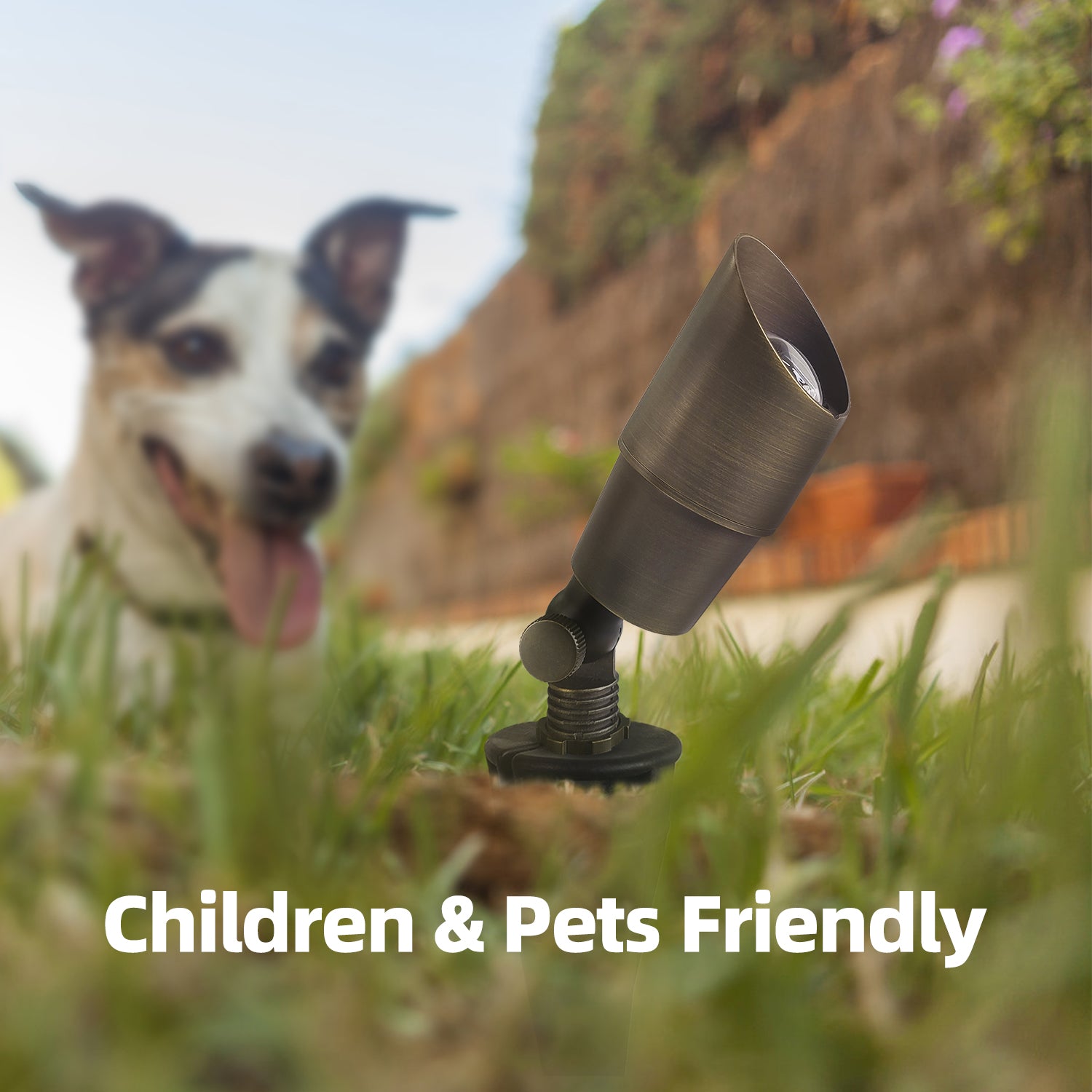 Brass LED landscape spotlight in a garden with a dog in the background, featuring 'Children & Pets Friendly' text.