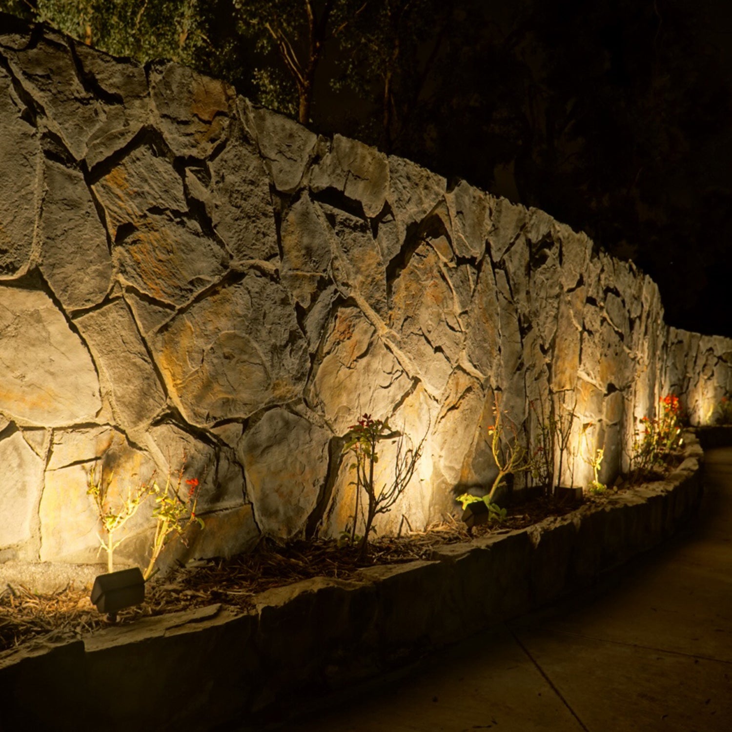Outdoor stone wall illuminated by LED landscape lights at night, highlighting texture and surrounding plants