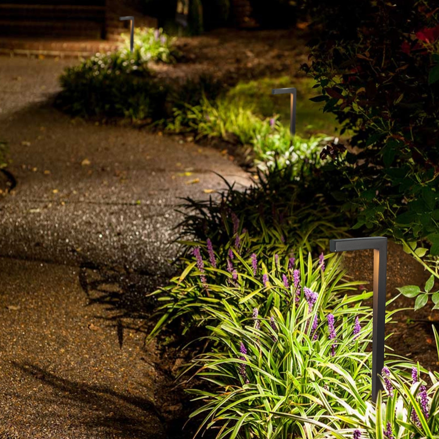 12V LED low voltage solid brass outdoor lights illuminating a garden path with greenery and purple flowers, part of COLOER's outdoor lighting solutions.