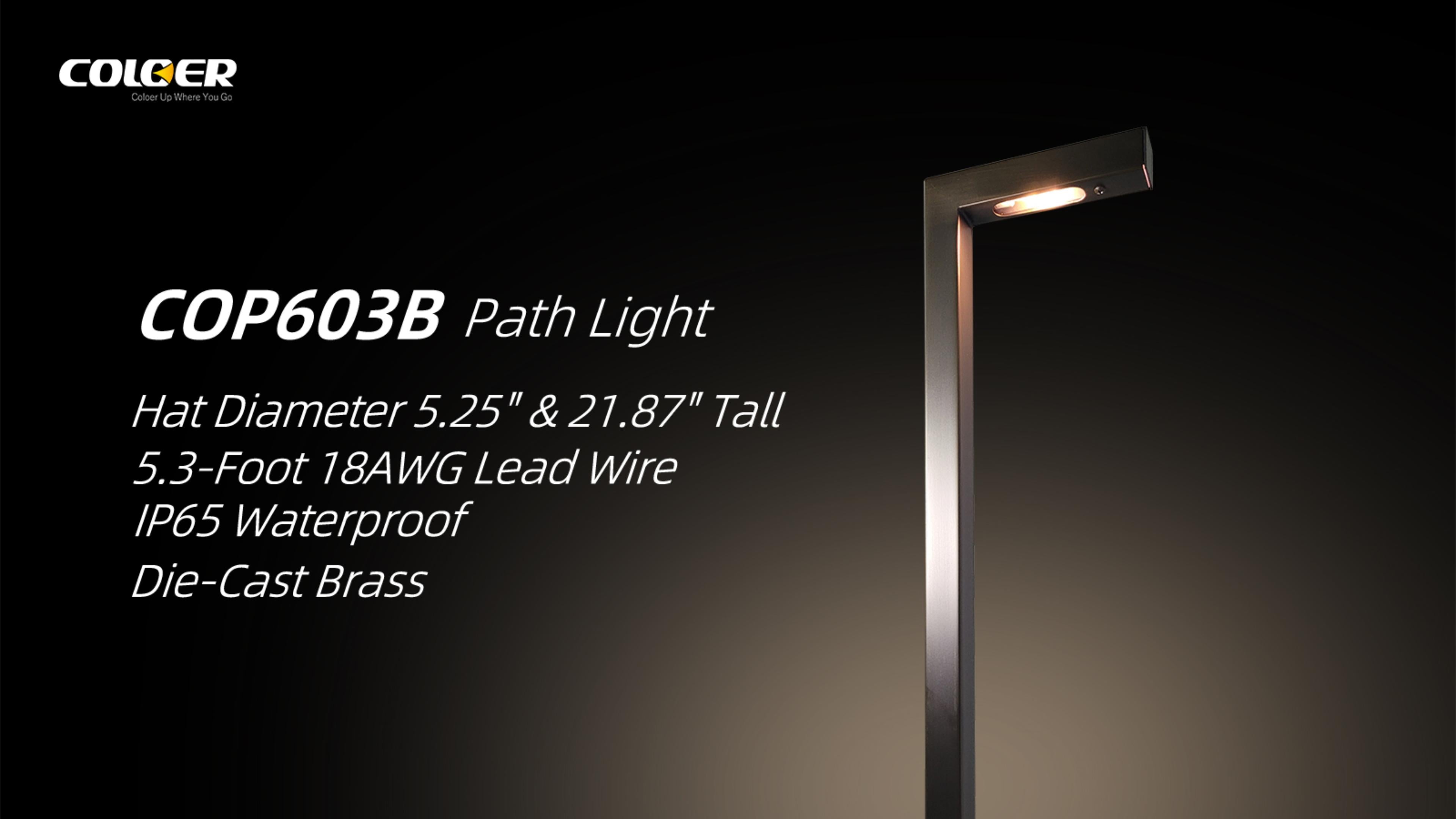 CDPA53 Path Light LV LED Rectangular Light Outdoor Lighting