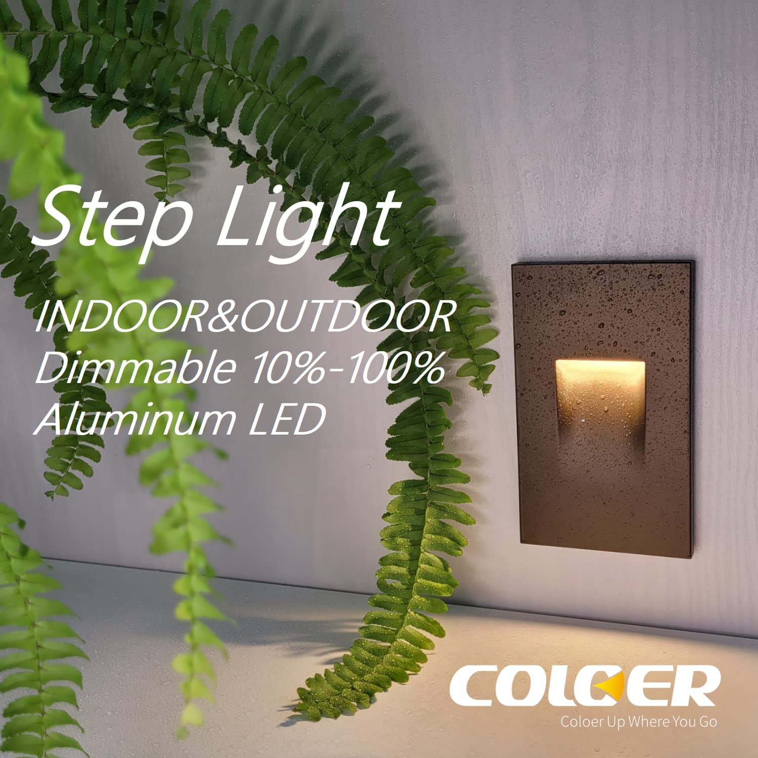 COLOER 3.5W LED aluminum step light with oil-rubbed bronze finish installed on wall, emitting warm white light. Text: 'Step Light,' 'INDOOR&OUTDOOR,' 'Dimmable 10%-100%', 'Aluminum LED'. Fern leaf in foreground, COLOER logo and tagline 'Color Up Where You Go'.